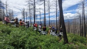 Protecting Water and Land – River Source