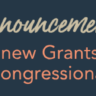 Announcement e Newsletter HEADER (1)
