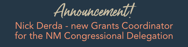 Announcement e Newsletter HEADER (1)