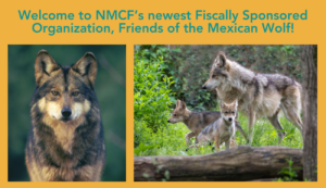 Welcome NMCF’s Newest FSO!